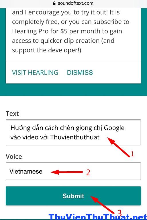 cách chèn tiếng chị google vào video